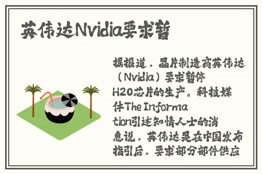 小泽玛利亚**图片